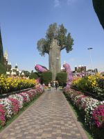 Dubai Miracle Garden &ndash; &copy; Vicky Kern (Eberhardt TRAVEL)