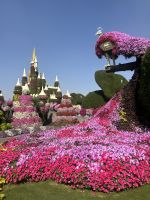 Dubai Miracle Garden &ndash; &copy; Vicky Kern (Eberhardt TRAVEL)