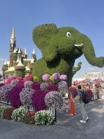 Dubai Miracle Garden &ndash; &copy; Vicky Kern (Eberhardt TRAVEL)