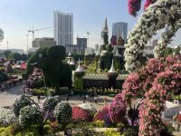 Dubai Miracle Garden &ndash; &copy; Vicky Kern (Eberhardt TRAVEL)