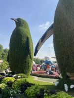 Dubai Miracle Garden &ndash; &copy; Vicky Kern (Eberhardt TRAVEL)