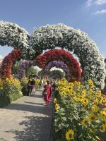 Dubai Miracle Garden &ndash; &copy; Vicky Kern (Eberhardt TRAVEL)