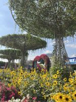 Dubai Miracle Garden &ndash; &copy; Vicky Kern (Eberhardt TRAVEL)