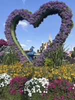 Dubai Miracle Garden &ndash; &copy; Vicky Kern (Eberhardt TRAVEL)