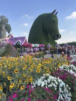 Dubai Miracle Garden &ndash; &copy; Vicky Kern (Eberhardt TRAVEL)