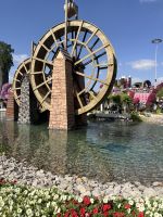 Dubai Miracle Garden &ndash; &copy; Vicky Kern (Eberhardt TRAVEL)