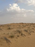 Wüstensafari &ndash; &copy; Vicky Kern (Eberhardt TRAVEL)