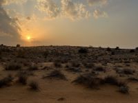 Wüstensafari &ndash; &copy; Vicky Kern (Eberhardt TRAVEL)