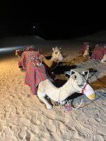 Wüstencamp &ndash; &copy; Vicky Kern (Eberhardt TRAVEL)