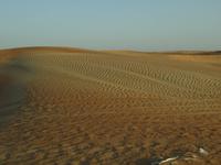Wüstensafari Dubai &ndash; &copy; Anne Schröder (Eberhardt TRAVEL)
