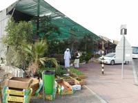 Friday Market &ndash; &copy; Vicky Kern (Eberhardt TRAVEL)