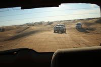 Wüstensafari (2) &ndash; &copy; Sandra Mahr (Eberhardt TRAVEL)