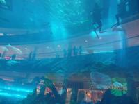 Dubai Mall Aquarium &ndash; &copy; Rico Manns (Eberhardt TRAVEL)