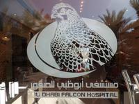 Abu Dhabi Falken Klinik &ndash; &copy; Rico Manns (Eberhardt TRAVEL)