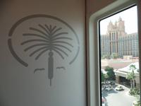 Die Palme &ndash; &copy; Rico Manns (Eberhardt TRAVEL)