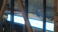 Skihalle in der Mall of the Emirates &ndash; &copy; Sylvia Sann (Eberhardt TRAVEL)