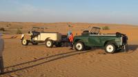 Wüstensafari &ndash; &copy; Sylvia Sann (Eberhardt TRAVEL)