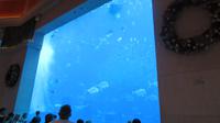 im Atlantis Hotel &ndash; &copy; Sylvia Sann (Eberhardt TRAVEL)