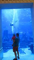 im Atlantis Hotel &ndash; &copy; Sylvia Sann (Eberhardt TRAVEL)