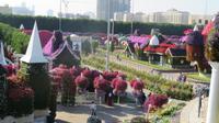 Miracle Garden &ndash; &copy; Sylvia Sann (Eberhardt TRAVEL)