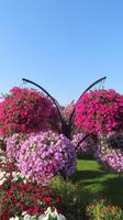 Miracle Garden &ndash; &copy; Sylvia Sann (Eberhardt TRAVEL)