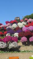 Miracle Garden &ndash; &copy; Sylvia Sann (Eberhardt TRAVEL)