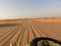 Wüstensafari &ndash; &copy; Nico Stolba (Eberhardt TRAVEL)