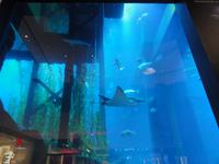 Dubai Aquarium &ndash; &copy; Nico Stolba (Eberhardt TRAVEL)
