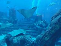 Atlantis &ndash; &copy; Nico Stolba (Eberhardt TRAVEL)