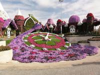 Dubai Miracle Garden &ndash; &copy; Nico Stolba (Eberhardt TRAVEL)