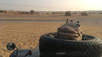 Dubai Wüstensafari &ndash; &copy; Andreas Mandel (Eberhardt TRAVEL)