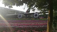 A380 Miracle Gardens Dubai &ndash; &copy; Andreas Mandel (Eberhardt TRAVEL)