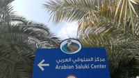 Abu Dhabi Falkenkrankenhaus &ndash; &copy; Andreas Mandel (Eberhardt TRAVEL)