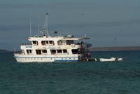Die Yacht 