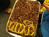 Maikäfer, geröstet, mit Mais - Lecker! &ndash; &copy; Hubert Lücker (Eberhardt TRAVEL)