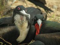 Just Married &ndash; &copy; Hubert Lücker (Eberhardt TRAVEL)