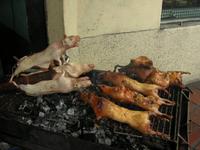 Lecker Meerschweinchen &ndash; &copy; Hubert Lücker (Eberhardt TRAVEL)