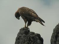 &copy; Hubert Lücker (Eberhardt TRAVEL)