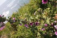 &copy; Claudia Rossin (Eberhardt TRAVEL)