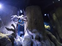 Warner Bros Studios &ndash; &copy; Philip Seidel (Eberhardt TRAVEL)