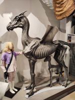 Warner Bros Studios &ndash; &copy; Philip Seidel (Eberhardt TRAVEL)