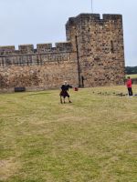 Flugstunde Alnwick Castle &ndash; &copy; Philip Seidel (Eberhardt TRAVEL)