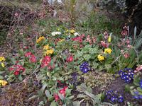 im St. James Park &ndash; &copy; Barbara Pflicke (Eberhardt TRAVEL)