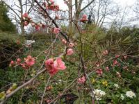 im St. James Park &ndash; &copy; Barbara Pflicke (Eberhardt TRAVEL)