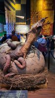 086 – England, Harry Potter Studio Tour &ndash; &copy; Vivien Fiedler (Eberhardt TRAVEL)