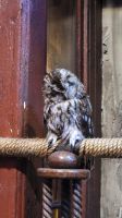 148 – England, Harry Potter Studio Tour &ndash; &copy; Vivien Fiedler (Eberhardt TRAVEL)