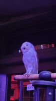 120 - England, Harry Potter Studio Tour &ndash; &copy; Vivien Fiedler (Eberhardt TRAVEL)