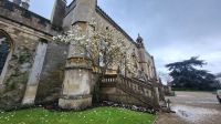 105 – England, Lacock, Abbey &ndash; &copy; Vivien Fiedler (Eberhardt TRAVEL)