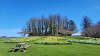 149 – England, Alnwick &ndash; &copy; Vivien Fiedler (Eberhardt TRAVEL)