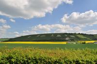 Fovant Badges, Wiltshire &ndash; &copy; Martin Büchner (Eberhardt TRAVEL)